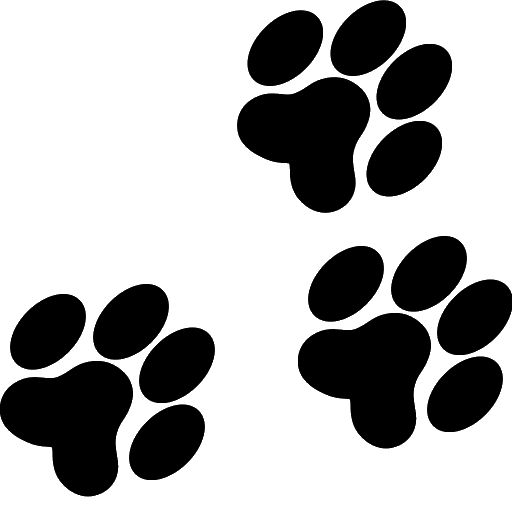 Interface - Image 49